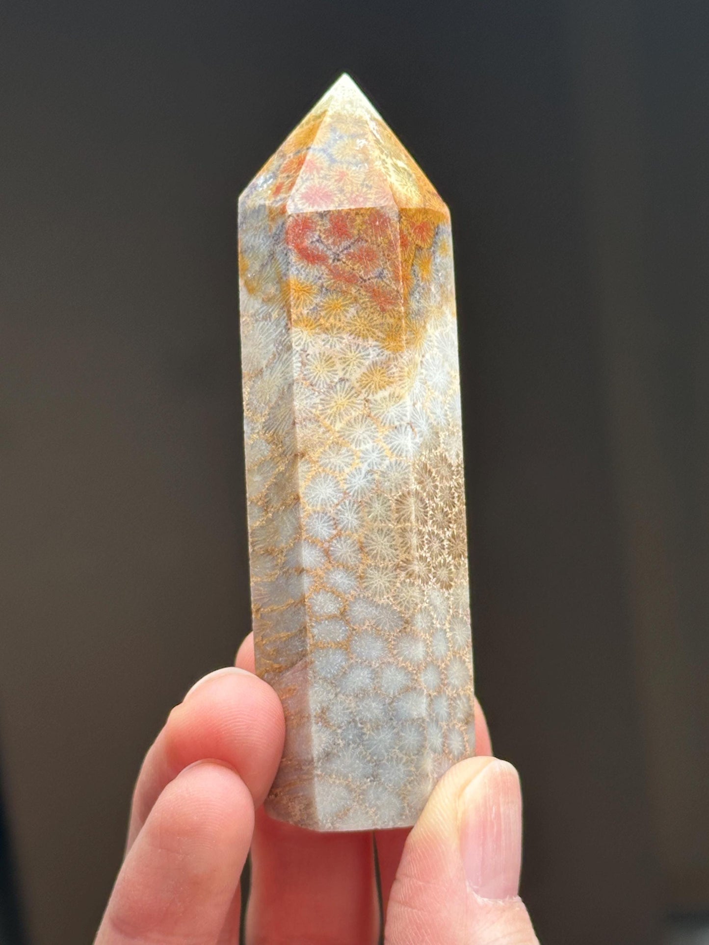 Fossilized Coral Towers - YOU PICK! | Natural Coral Fossil Crystal Points | Polished Mineral Specimens for Collectors Display Decor