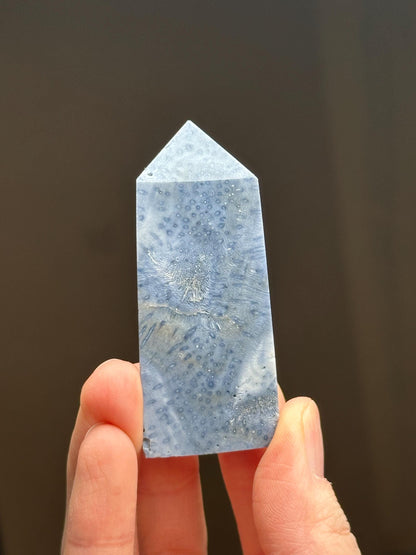 Blue Coral Tower - YOU PICK! | Natural Fossil Coral Crystal Point | Polished Marine Fossil Mineral Specimen for Collectors Display Decor