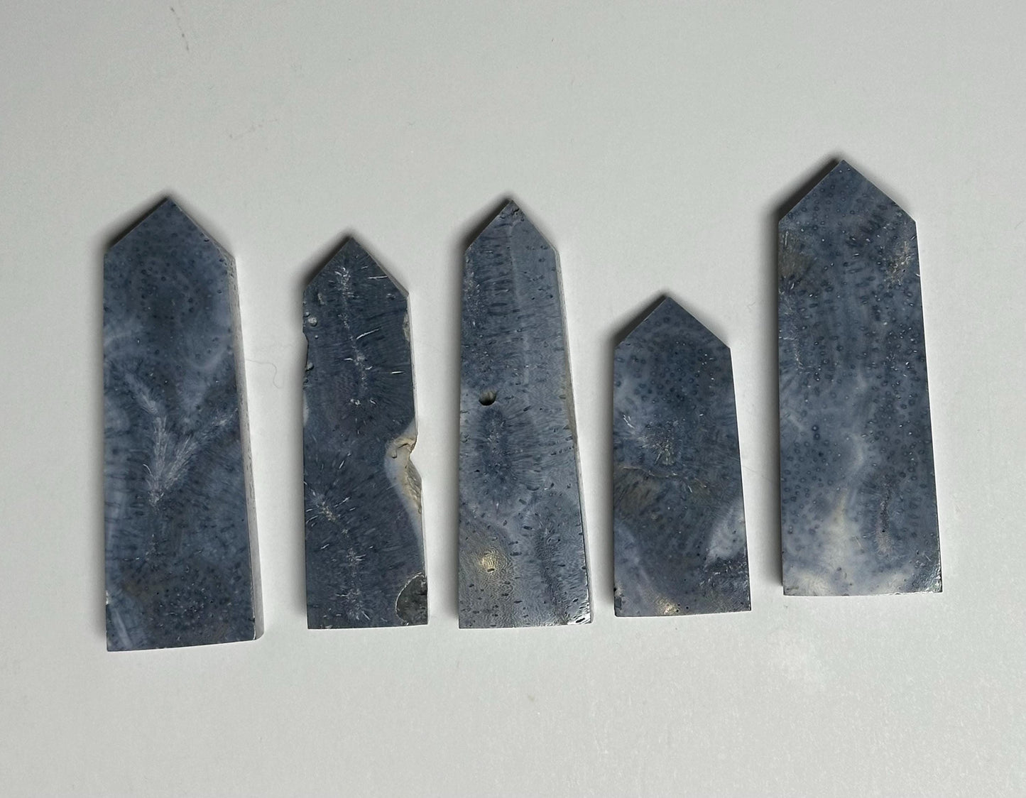 Blue Coral Tower - YOU PICK! | Natural Fossil Coral Crystal Point | Polished Marine Fossil Mineral Specimen for Collectors Display Decor