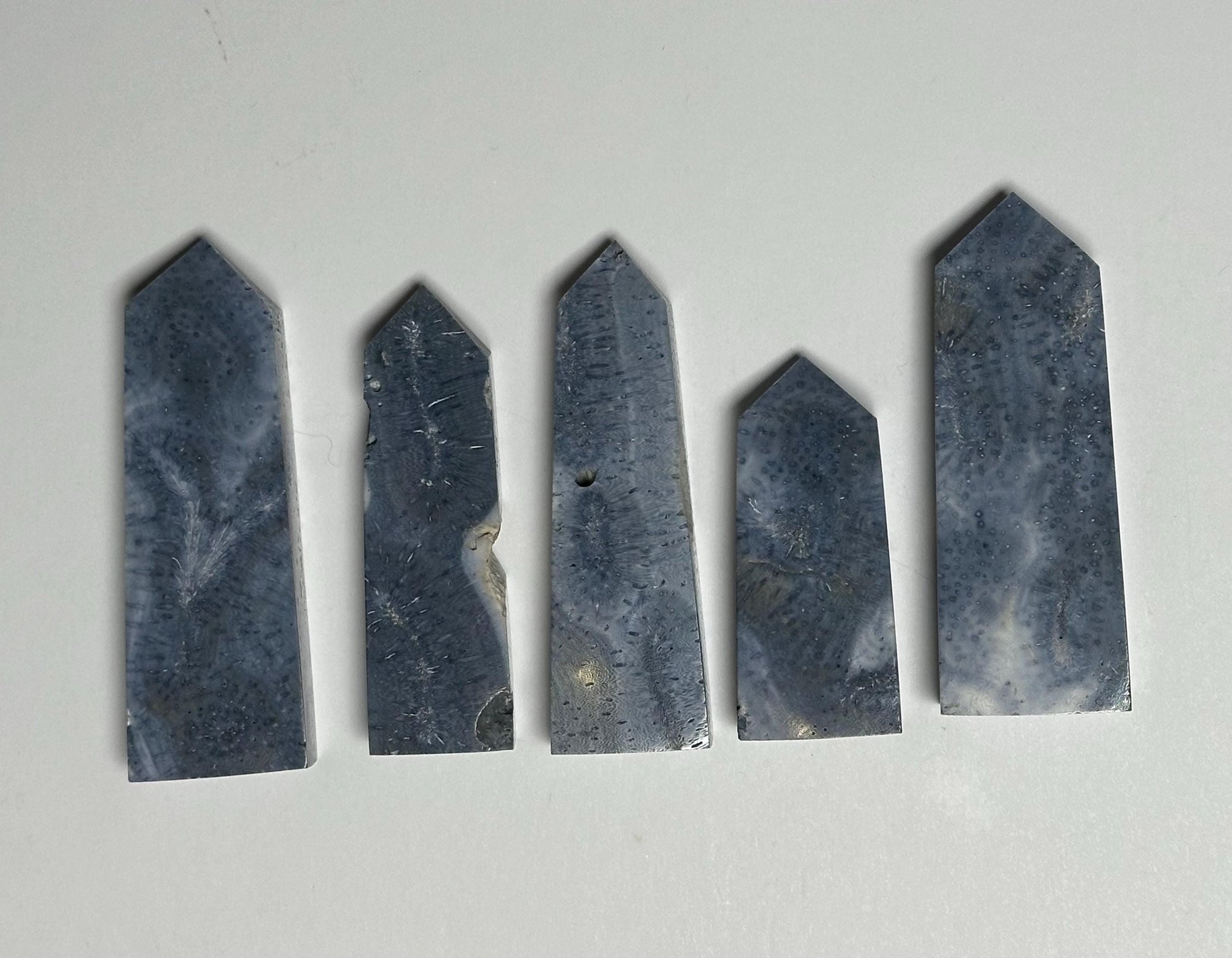 Blue Coral Tower - YOU PICK! | Natural Fossil Coral Crystal Point | Polished Marine Fossil Mineral Specimen for Collectors Display Decor