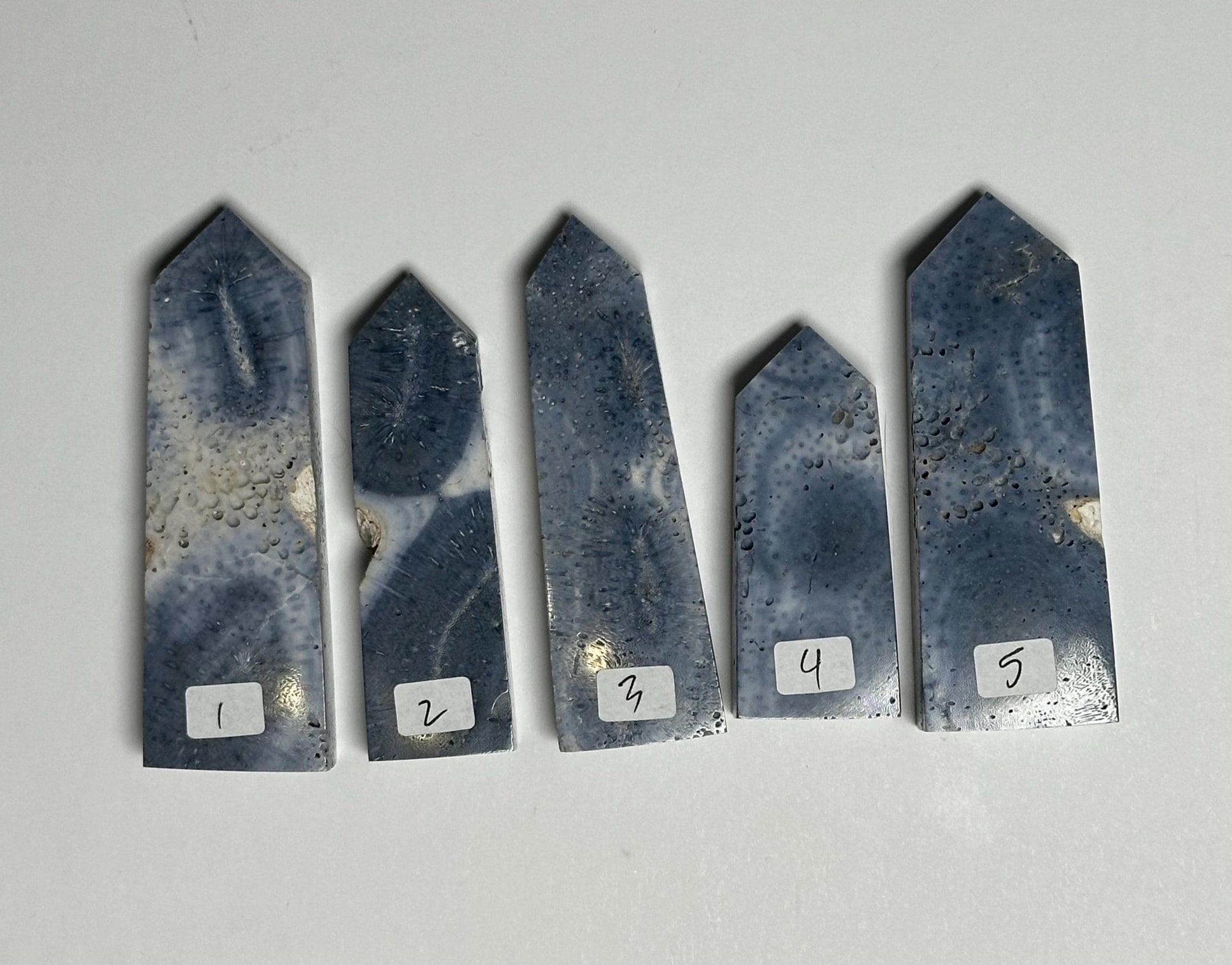 Blue Coral Tower - YOU PICK! | Natural Fossil Coral Crystal Point | Polished Marine Fossil Mineral Specimen for Collectors Display Decor