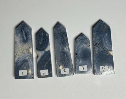 Blue Coral Tower - YOU PICK! | Natural Fossil Coral Crystal Point | Polished Marine Fossil Mineral Specimen for Collectors Display Decor