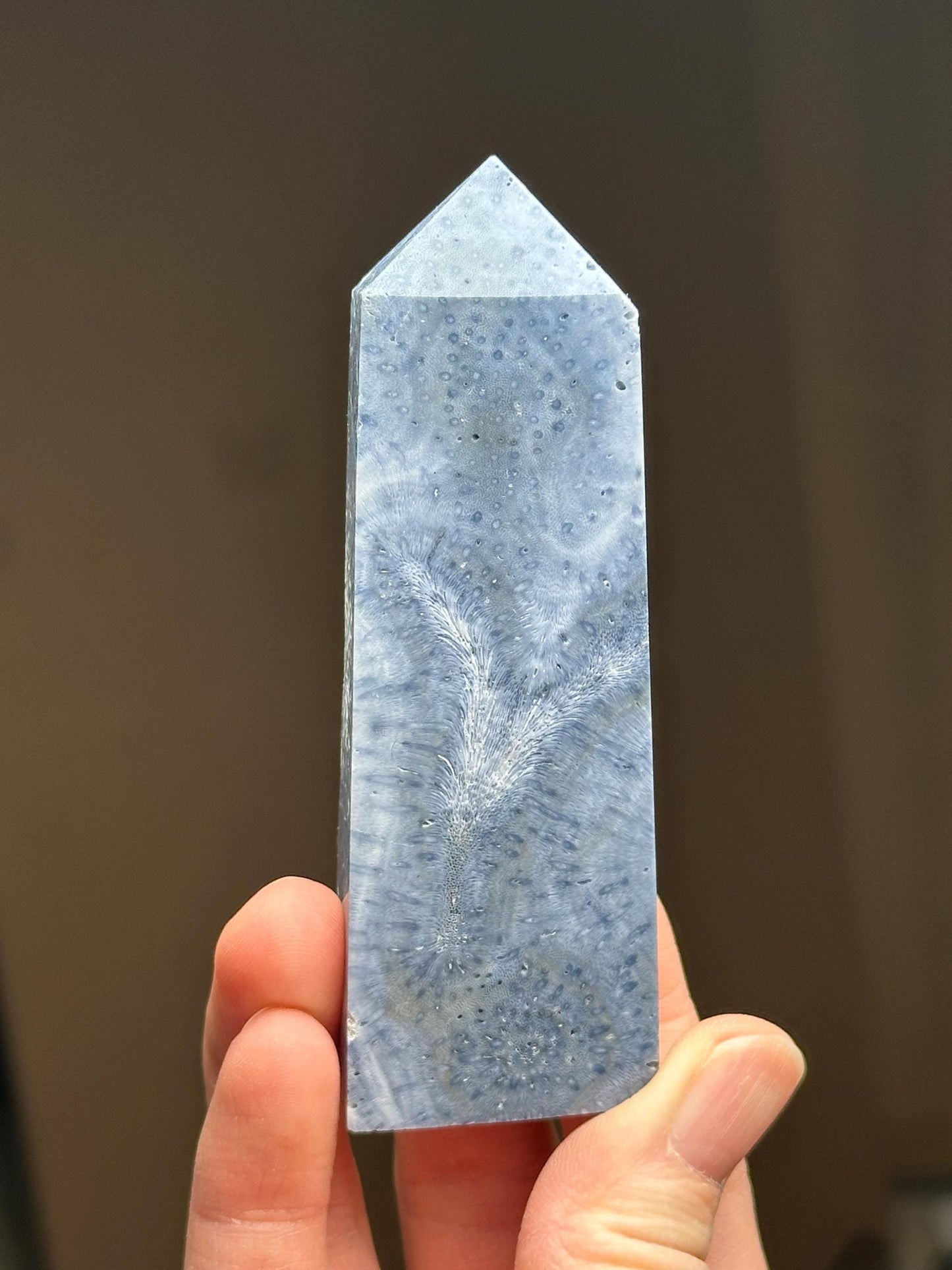 Blue Coral Tower - YOU PICK! | Natural Fossil Coral Crystal Point | Polished Marine Fossil Mineral Specimen for Collectors Display Decor