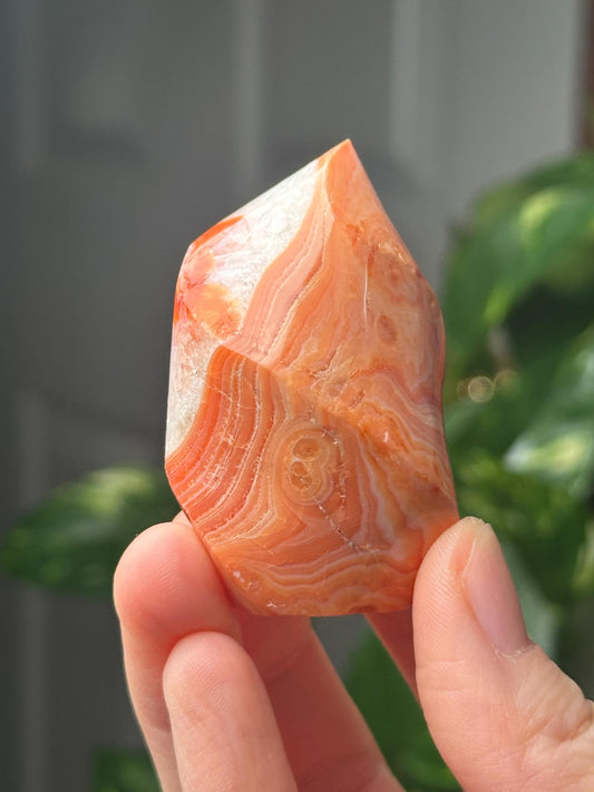Carnelian Flame | Natural Orange Carnelian Crystal Flame Carving | Polished Mineral Specimen for Collectors Display Decor Accent