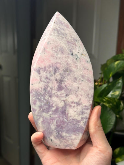 Hackmanite Pink Sodalite Flame | Natural UV Reactive Sodalite Group Mineral Carving | Rare Crystal Display Specimen for Collectors Decor