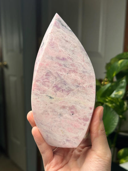 Hackmanite Pink Sodalite Flame | Natural UV Reactive Sodalite Group Mineral Carving | Rare Crystal Display Specimen for Collectors Decor