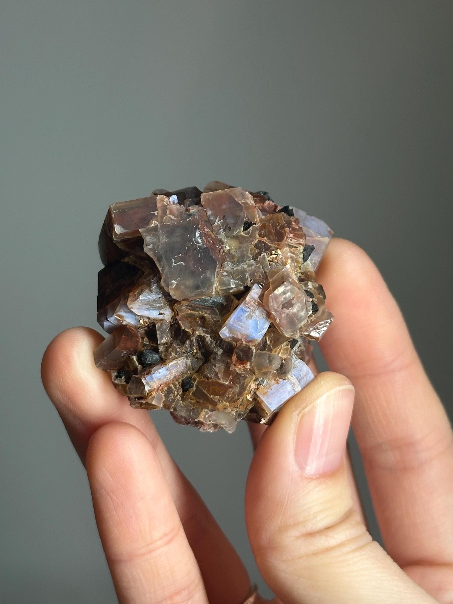 Moonstone with Aegirine Specimen | Pili Mine Chihuahua Mexico | Natural Feldspar Crystal Mineral Display Piece for Collectors Cabinet Decor