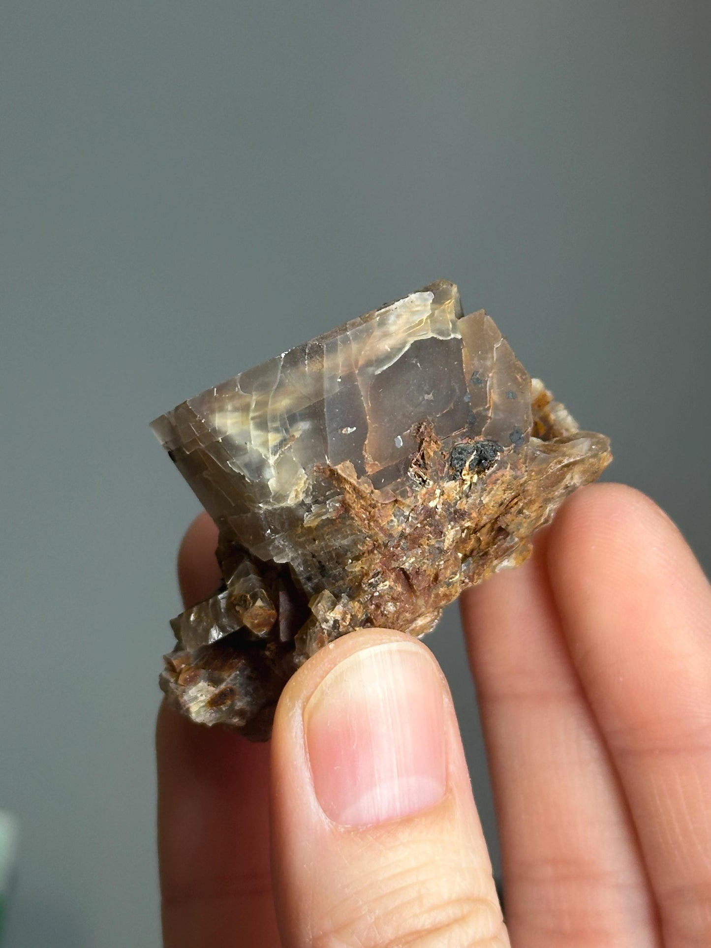 Moonstone with Aegirine Specimen | Pili Mine Chihuahua Mexico | Natural Feldspar Crystal Mineral Display Piece for Collectors Cabinet Decor