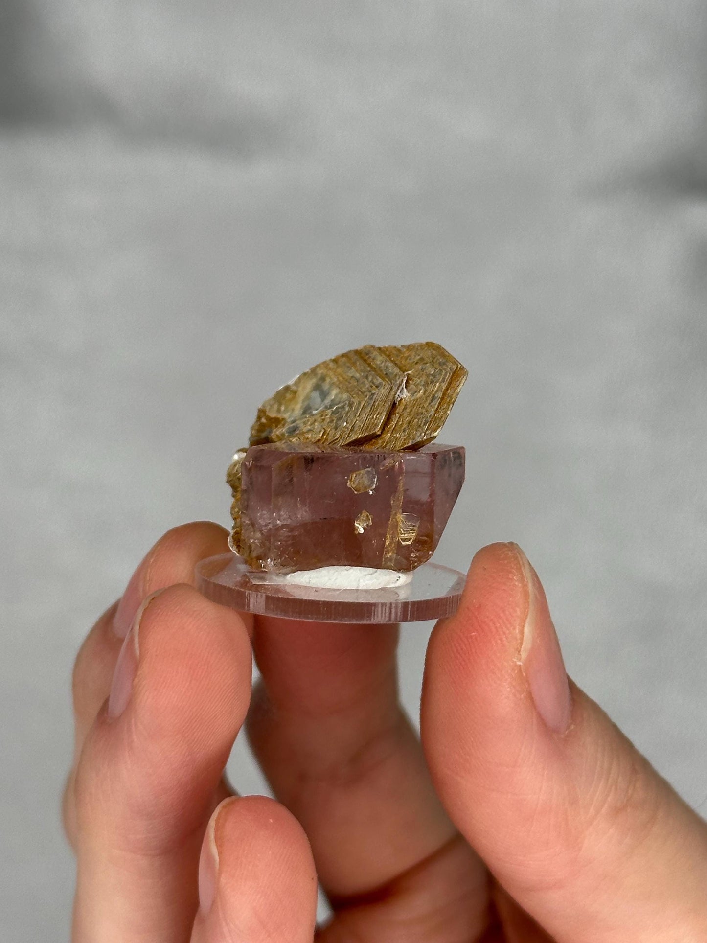 May include: A small, raw crystal specimen featuring a light brown, layered top piece atop a translucent, pinkish-purple crystal. The crystals are mounted on a small, clear, circular base. The background is a soft, neutral gray.