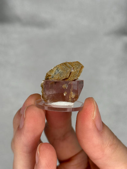May include: A small, raw crystal specimen featuring a light brown, layered top piece atop a translucent, pinkish-purple crystal. The crystals are mounted on a small, clear, circular base. The background is a soft, neutral gray.