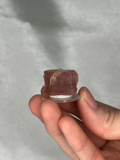 May include: A faceted, pink tourmaline crystal with gold inclusions. The gemstone is held on a clear, circular stand. The crystal has a rough, natural texture and is a reddish-pink color.