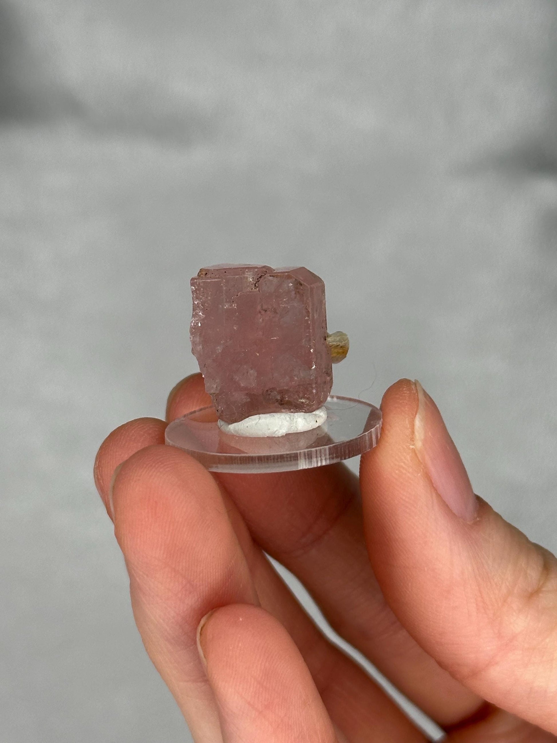 May include: A pink crystal specimen, possibly tourmaline, mounted on a clear, circular display stand. The crystal has a rough, textured surface and a rectangular shape. A small, yellowish mineral is attached to the side of the crystal.