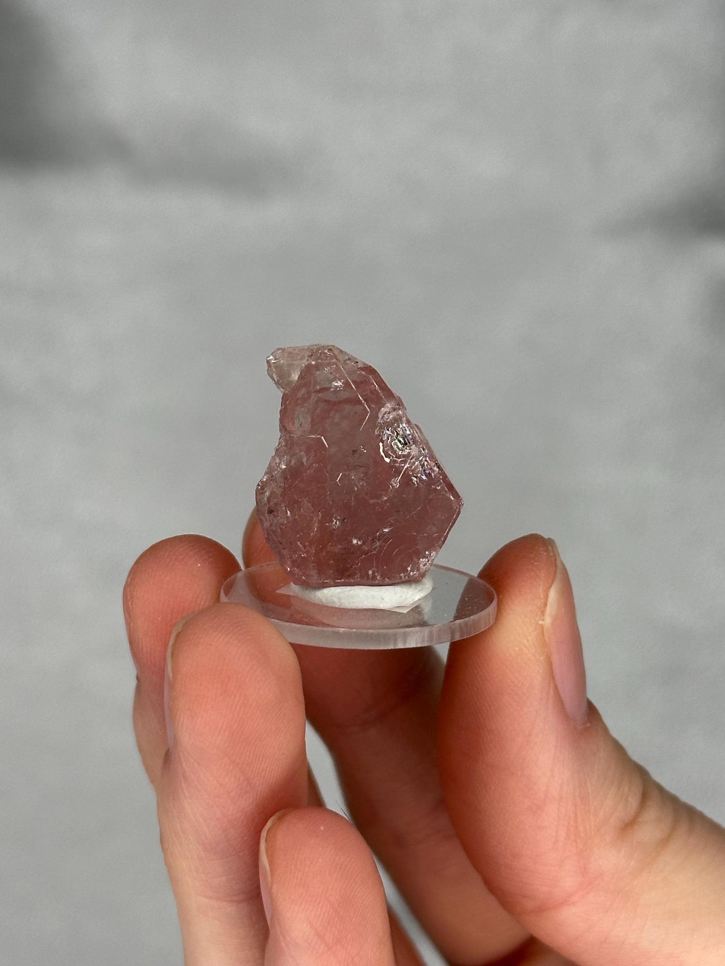 May include: A translucent, pinkish-red crystal specimen mounted on a small, clear, circular stand. The crystal has a rough, irregular shape with visible internal structures. The stand is held by a person's fingers against a soft gray background.