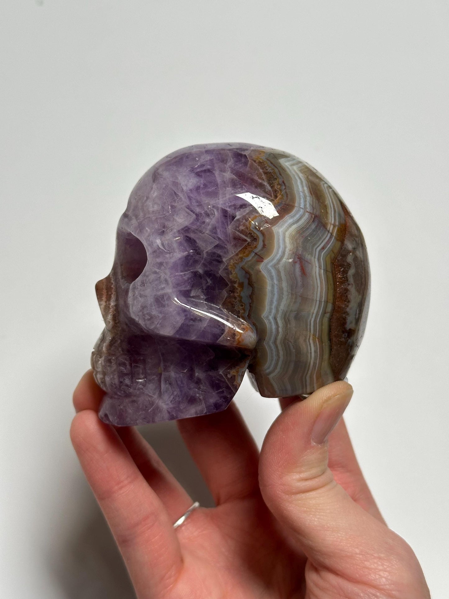 Amethyst Skull with Crazy Lace Agate | Natural Purple Quartz Crystal Skull Carving | Banded Stone Sculpture for Collectors Display Decor
