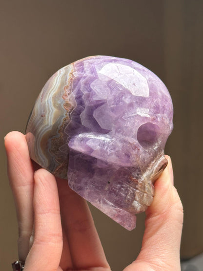 Amethyst Skull with Crazy Lace Agate | Natural Purple Quartz Crystal Skull Carving | Banded Stone Sculpture for Collectors Display Decor