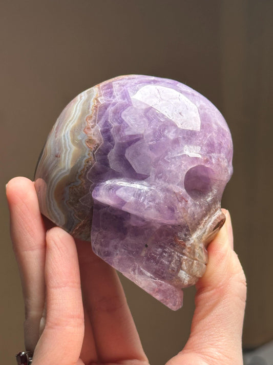 Amethyst Skull with Crazy Lace Agate | Natural Purple Quartz Crystal Skull Carving | Banded Stone Sculpture for Collectors Display Decor