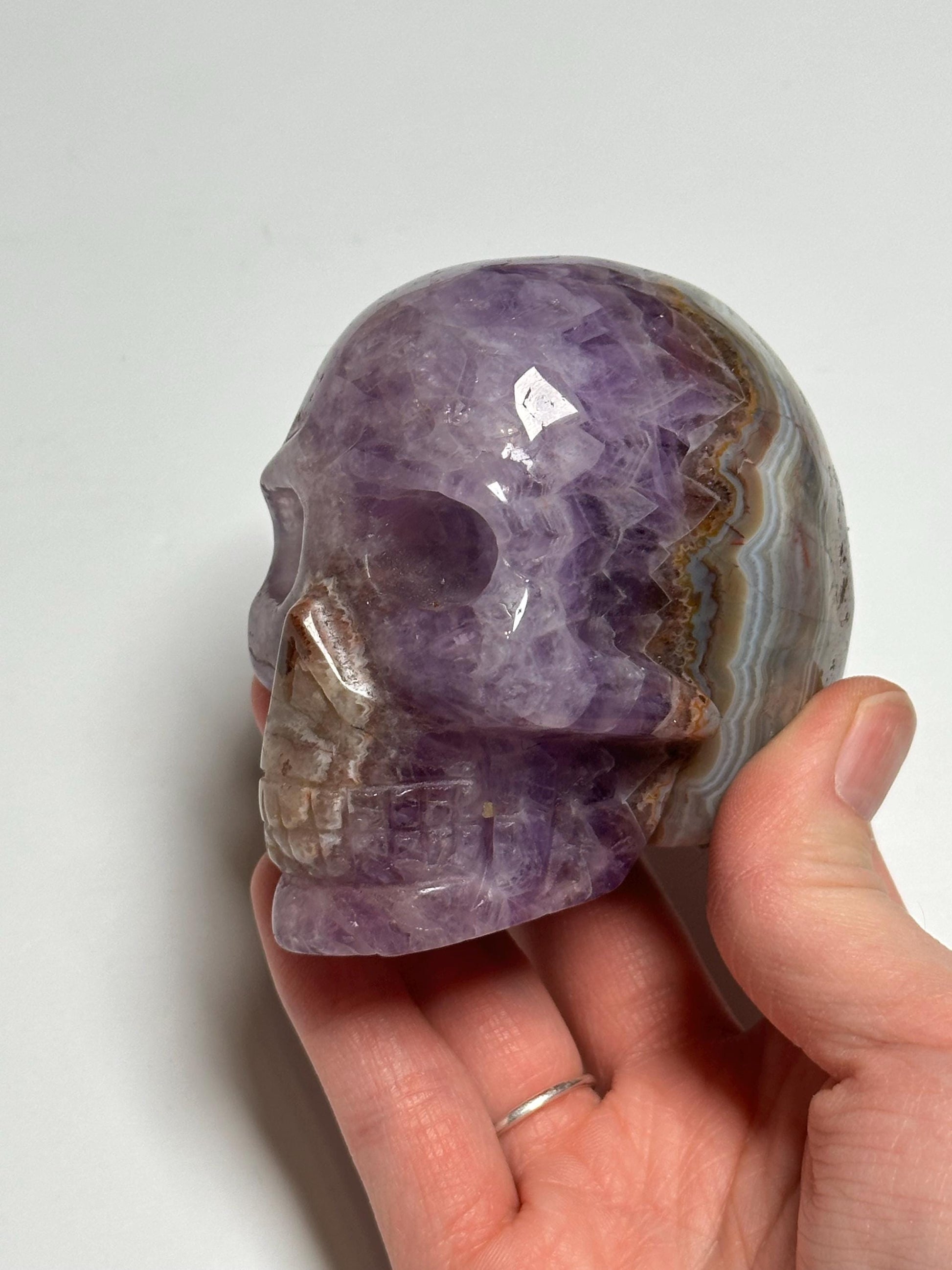 Amethyst Skull with Crazy Lace Agate | Natural Purple Quartz Crystal Skull Carving | Banded Stone Sculpture for Collectors Display Decor