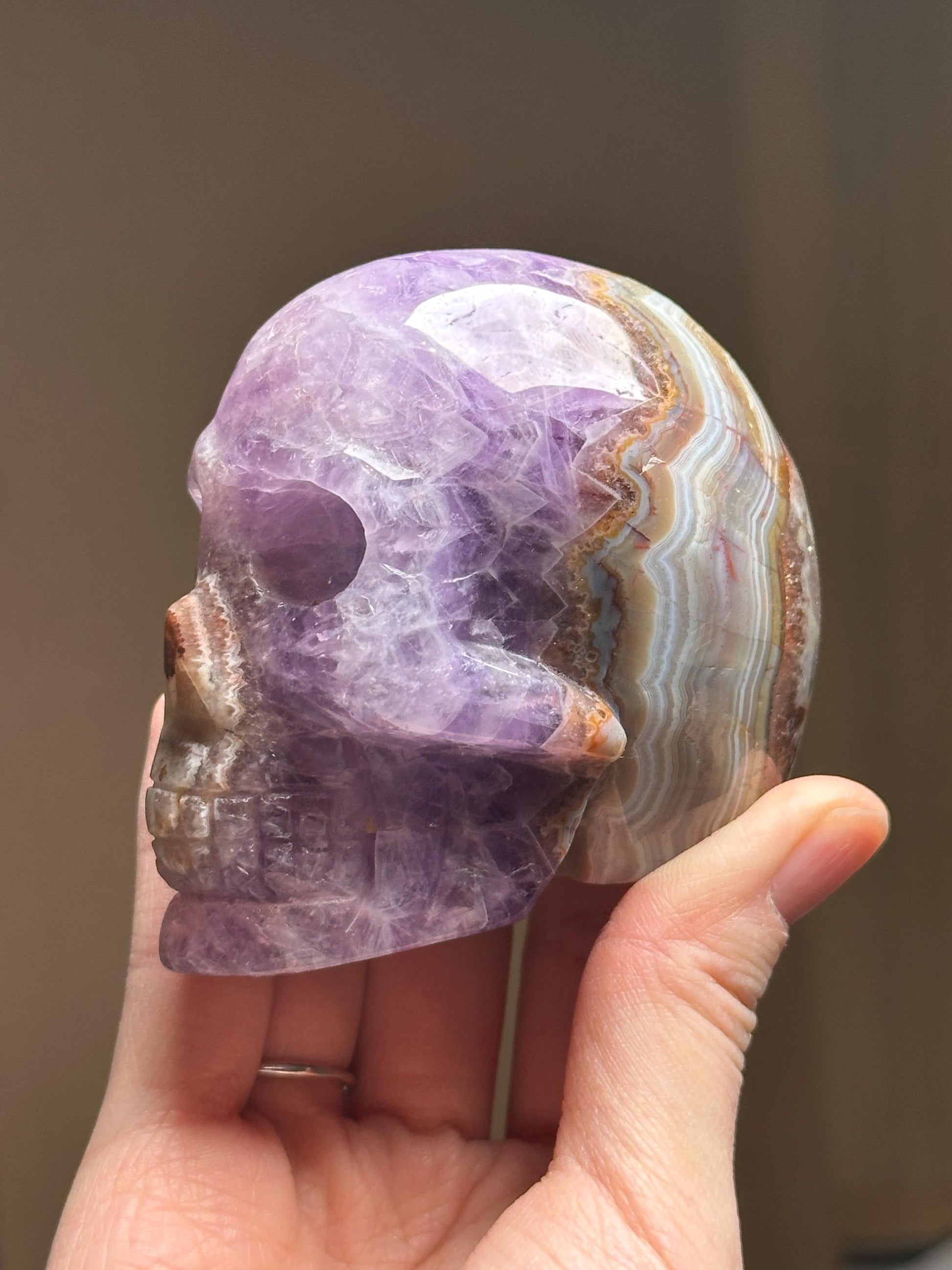 Amethyst Skull with Crazy Lace Agate | Natural Purple Quartz Crystal Skull Carving | Banded Stone Sculpture for Collectors Display Decor