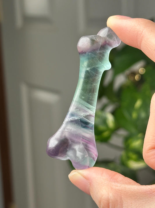 Fluorite Bone Carving - YOU PICK | Natural Crystal Fossil Style Sculpture | Polished Stone Decorative Piece for Collectors Display Decor