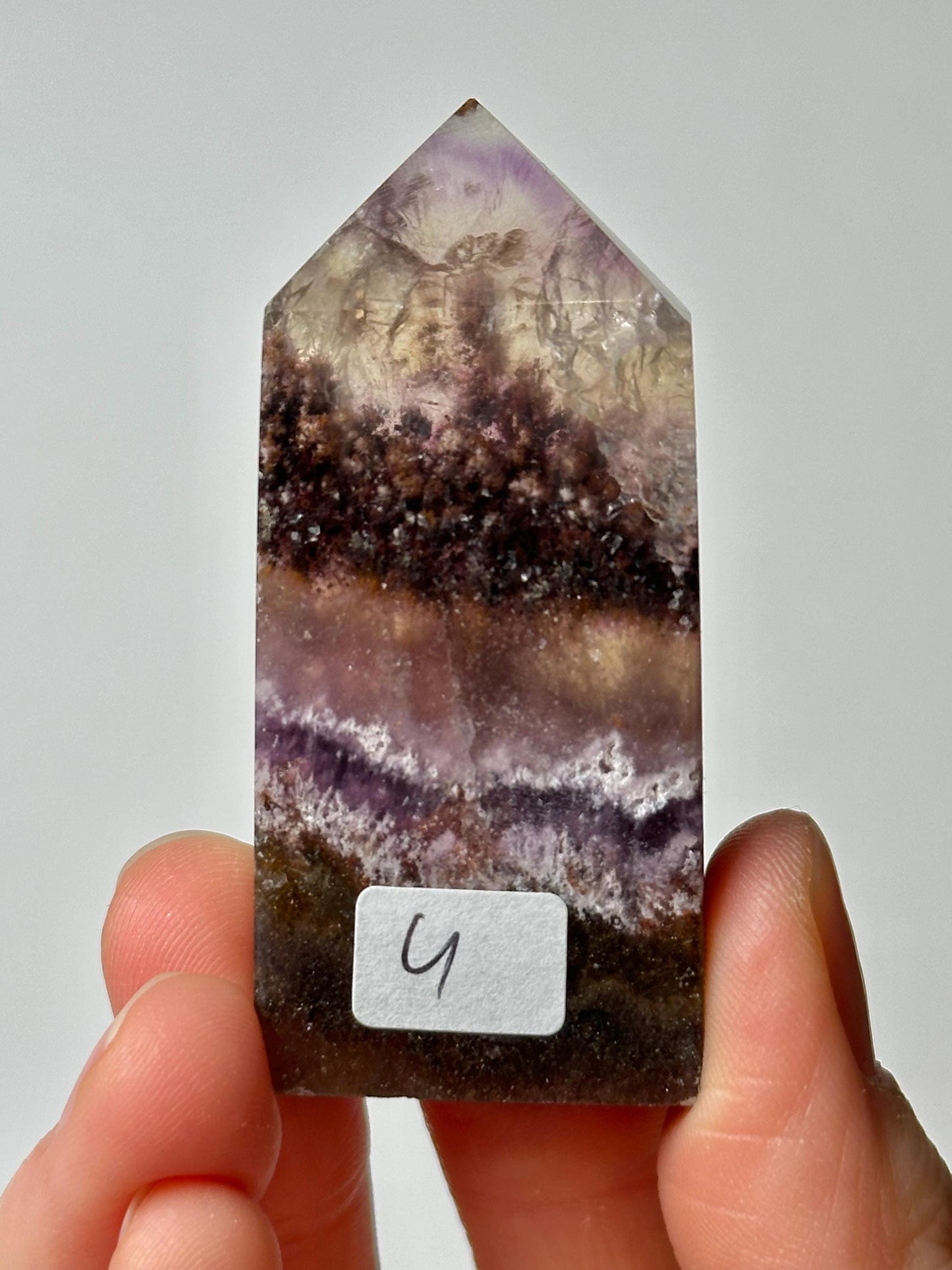 Fluorite with Pyrite and Garden Inclusions | Natural Crystal Mineral Specimen | Raw Collector Display Piece for Cabinet or Shelf
