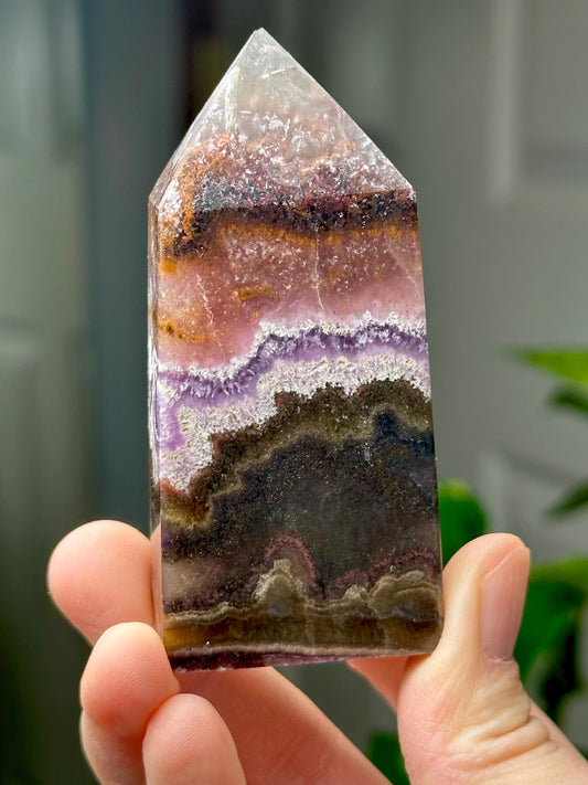 Fluorite with Pyrite and Garden Inclusions | Natural Crystal Mineral Specimen | Raw Collector Display Piece for Cabinet or Shelf