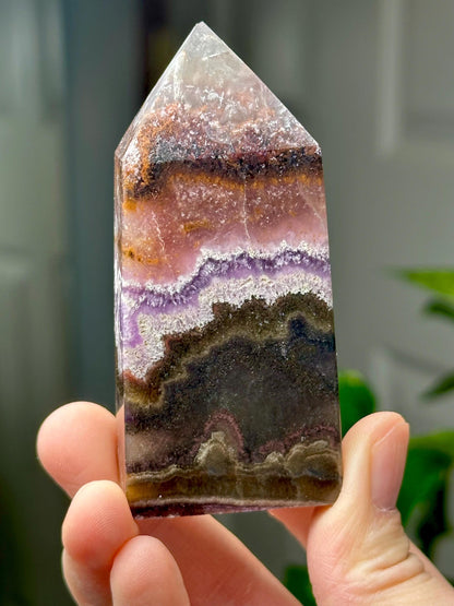 Fluorite with Pyrite and Garden Inclusions | Natural Crystal Mineral Specimen | Raw Collector Display Piece for Cabinet or Shelf