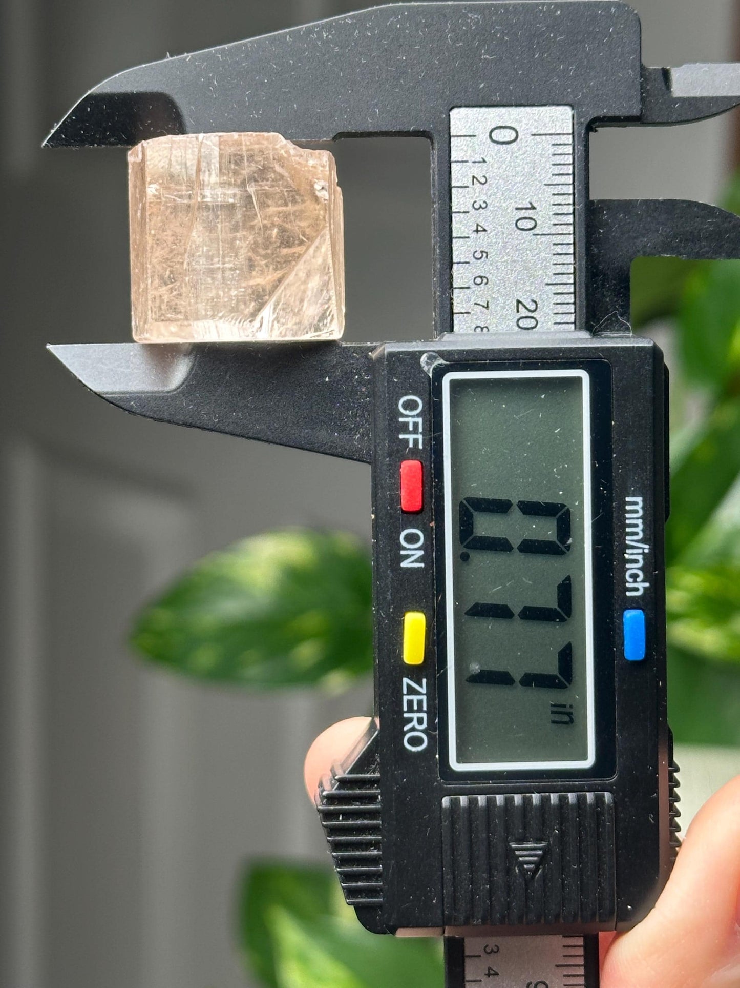 Champagne Topaz Specimen | Natural Champagne Topaz Crystal | Golden Gemstone Mineral Display Piece for Collectors Cabinet Decor