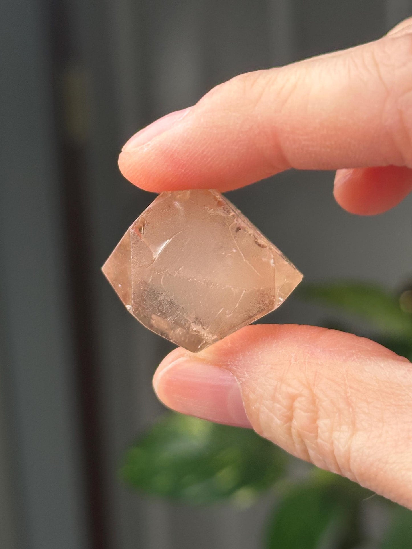 Champagne Topaz Specimen | Natural Champagne Topaz Crystal | Golden Gemstone Mineral Display Piece for Collectors Cabinet Decor