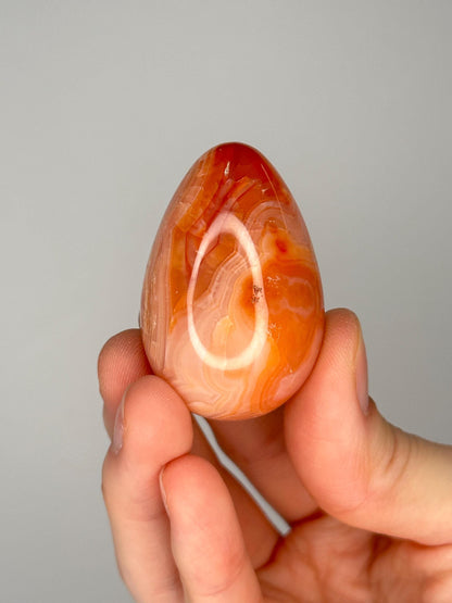 Mini Carnelian Egg | Natural Orange Carnelian Crystal Egg Carving | Polished Mineral Specimen for Collectors Display Decor Accent