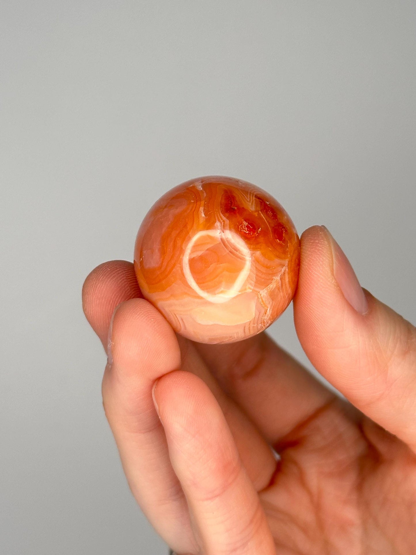 Mini Carnelian Egg | Natural Orange Carnelian Crystal Egg Carving | Polished Mineral Specimen for Collectors Display Decor Accent
