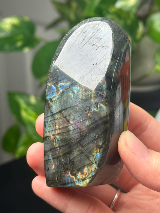 Labradorite Freeform | Natural Flashy Labradorite Carving | Polished Crystal Display Piece for Collectors & Home Decor