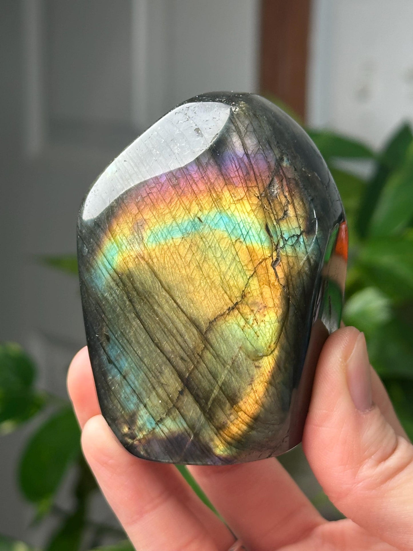 Labradorite Freeform | Natural Flashy Labradorite Carving | Polished Crystal Display Piece for Collectors & Home Decor