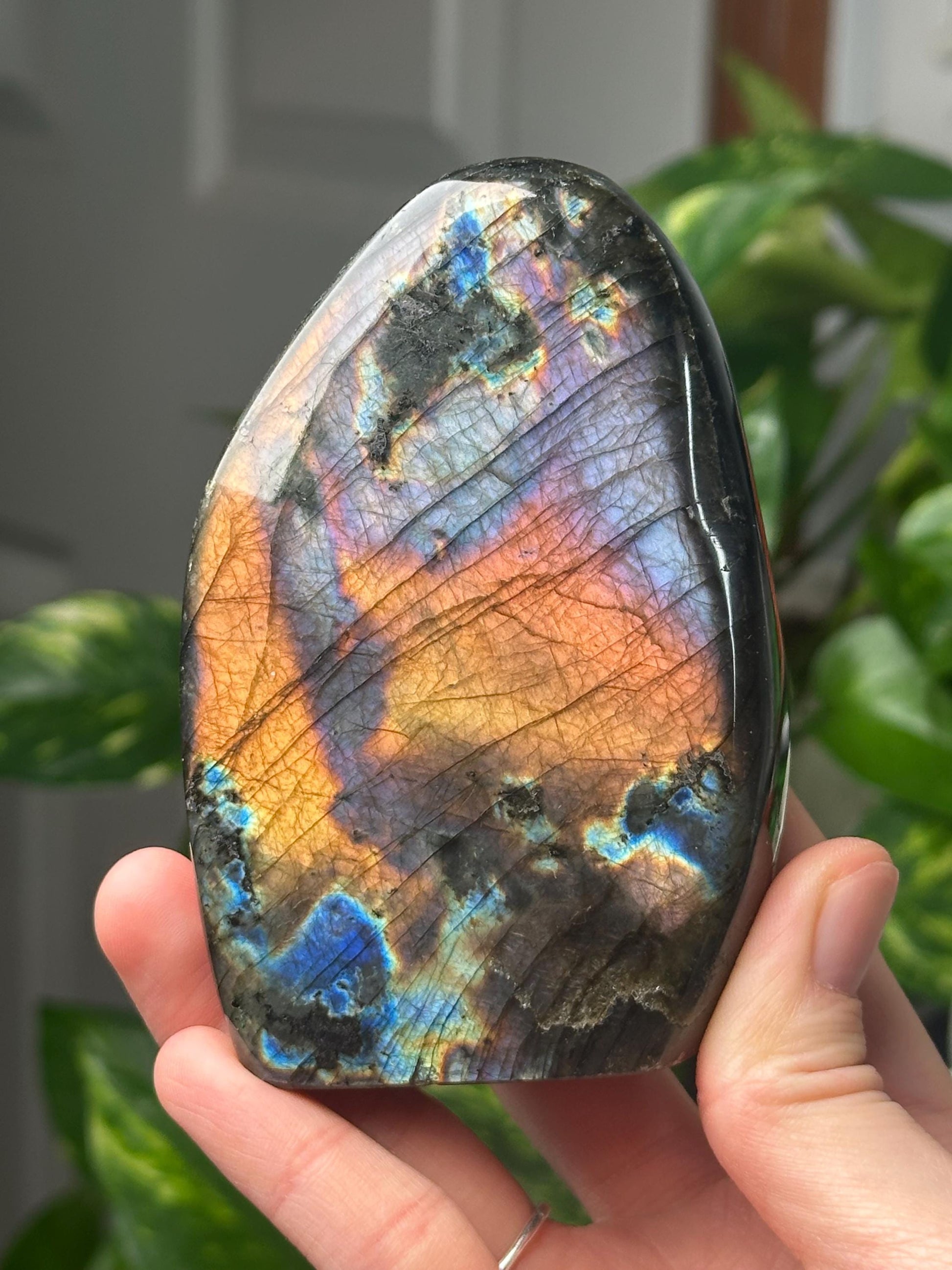 Labradorite Freeform | Natural Flashy Labradorite Carving | Polished Crystal Display Piece for Collectors & Home Decor