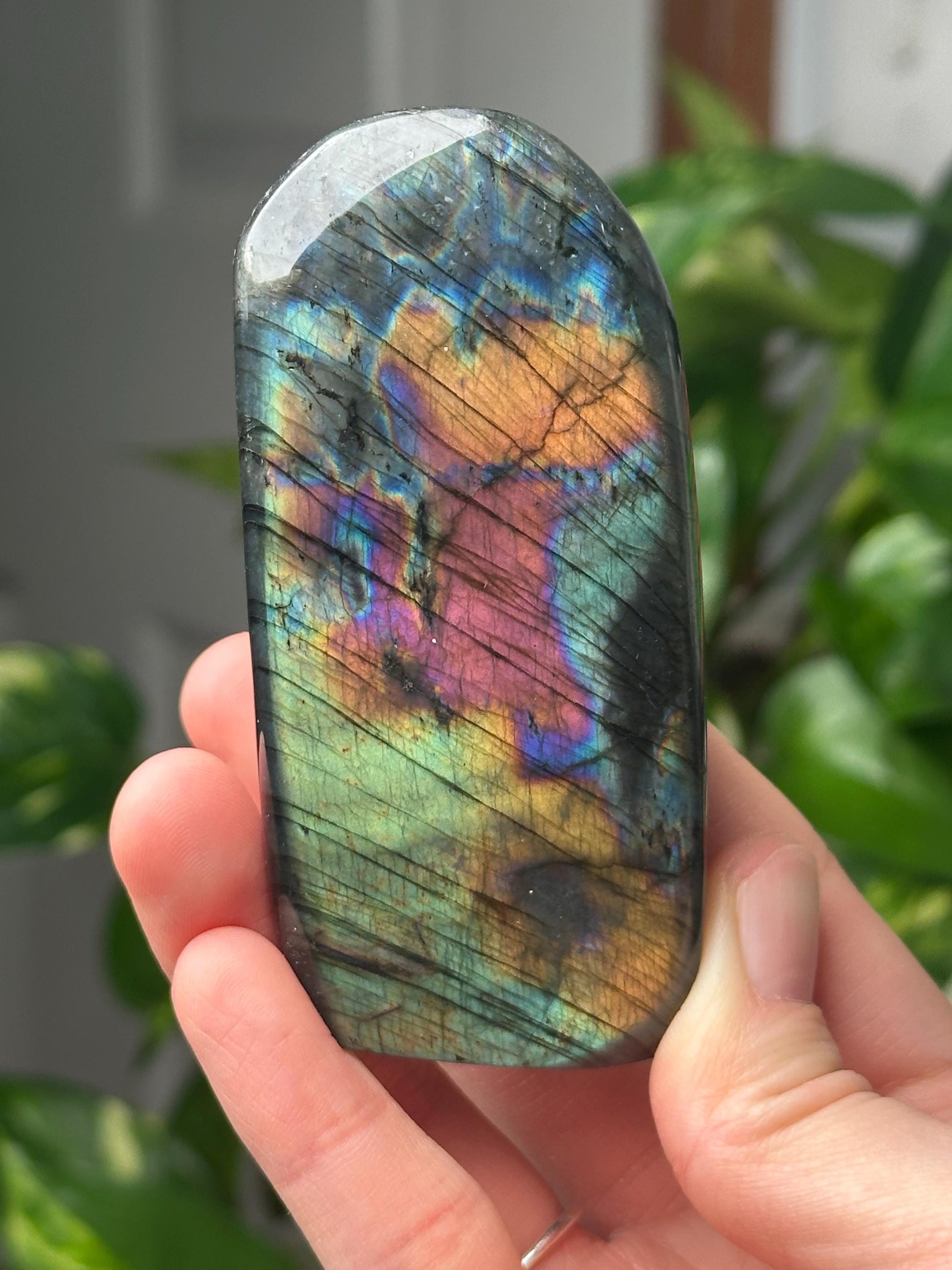 Labradorite Freeform | Natural Flashy Labradorite Carving | Polished Crystal Display Piece for Collectors & Home Decor
