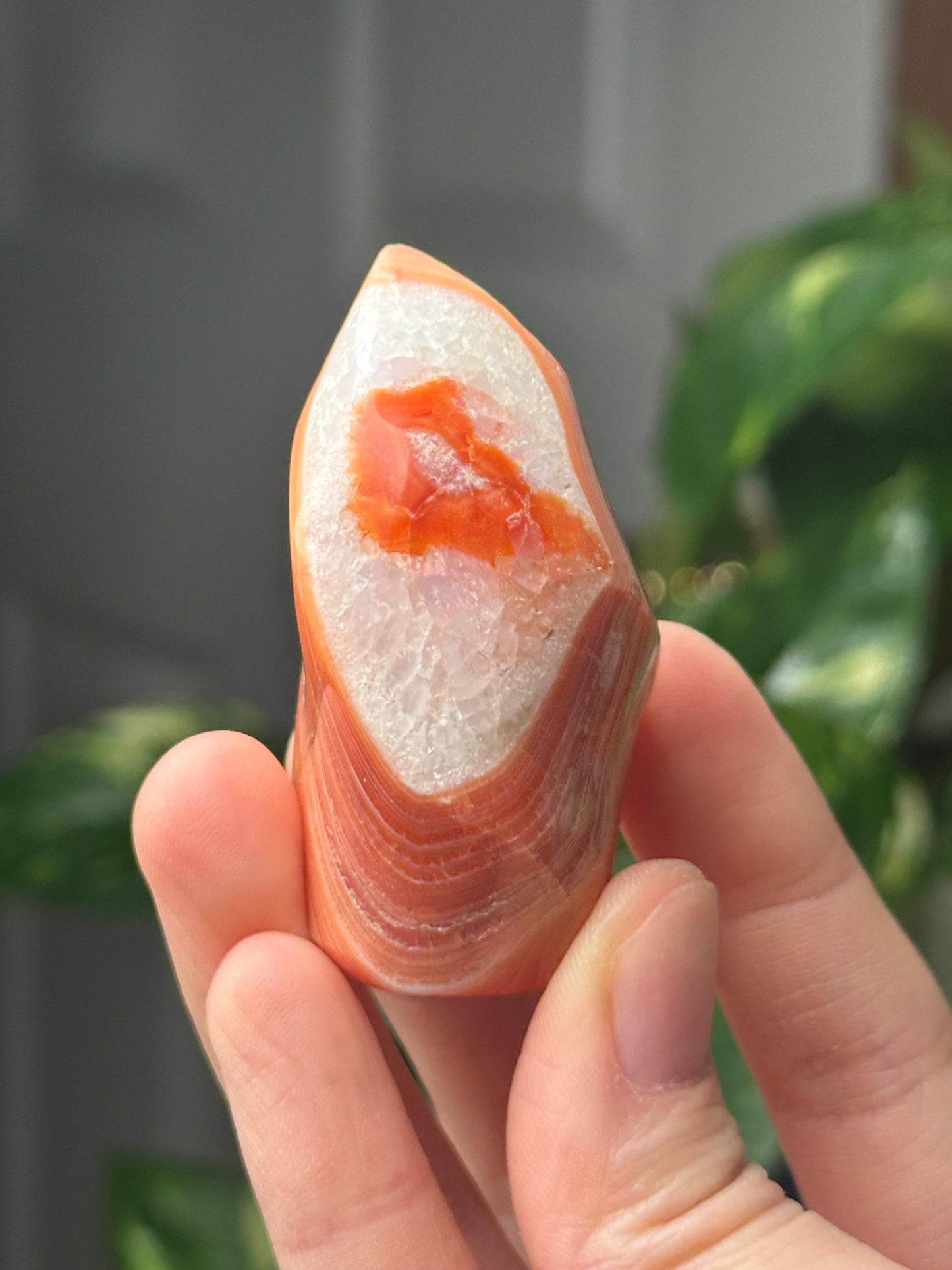 Carnelian Flame | Natural Orange Carnelian Crystal Flame Carving | Polished Mineral Specimen for Collectors Display Decor Accent