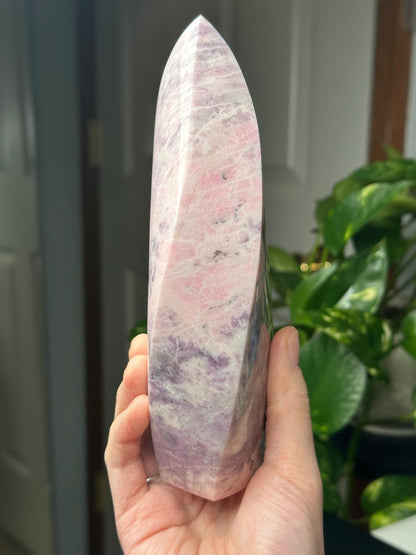 Hackmanite Pink Sodalite Flame | Natural UV Reactive Sodalite Group Mineral Carving | Rare Crystal Display Specimen for Collectors Decor