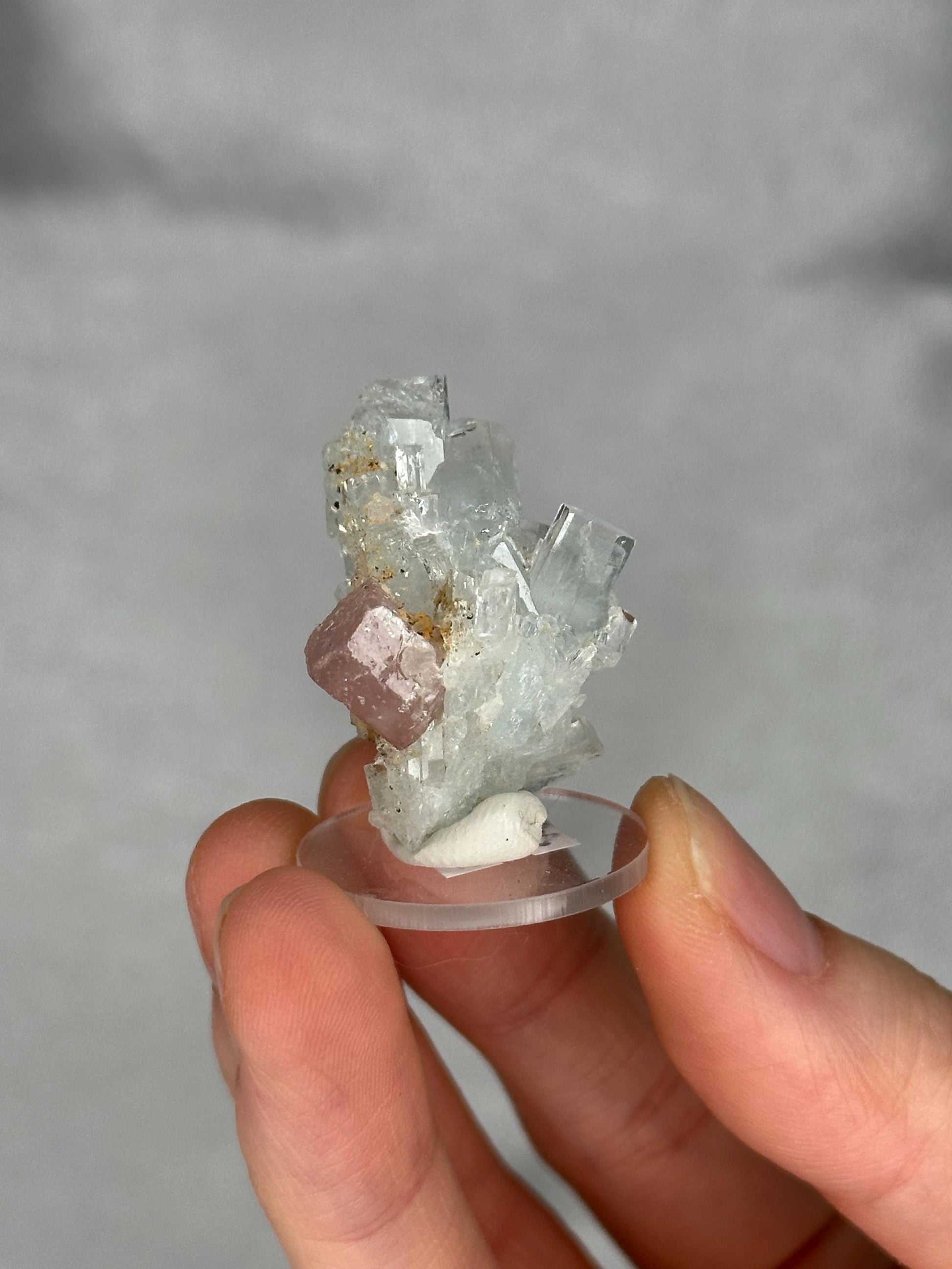 May include: A cluster of light blue and clear crystals with a pinkish-purple crystal in the center. The crystals are mounted on a small, clear, circular base. The background is a soft gray.