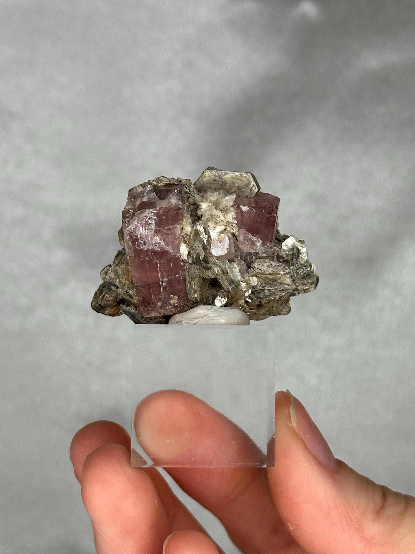 May include: A cluster of pink tourmaline crystals with a rough, natural texture. The crystals are set against a backdrop of gray and brown minerals. The image is of a mineral specimen, showcasing the raw beauty of the earth's formations.
