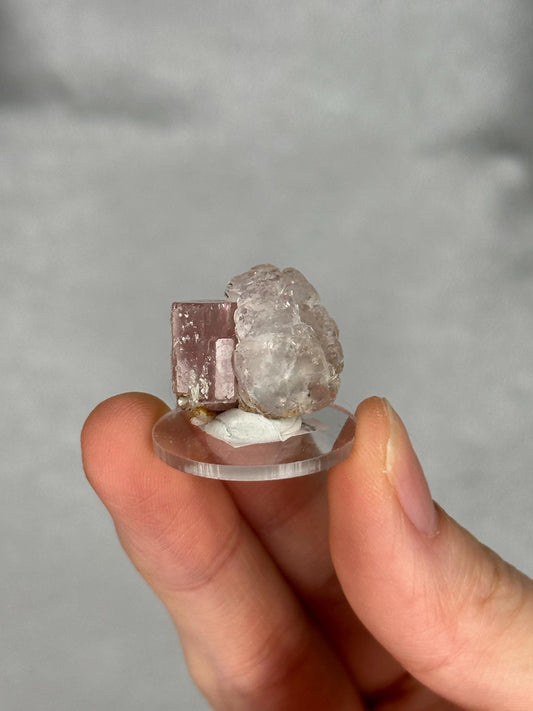 May include: A small, clear, circular display stand holding a pink tourmaline crystal and a clear quartz crystal. The crystals are rough and natural, with the tourmaline appearing rectangular. The background is a soft gray.