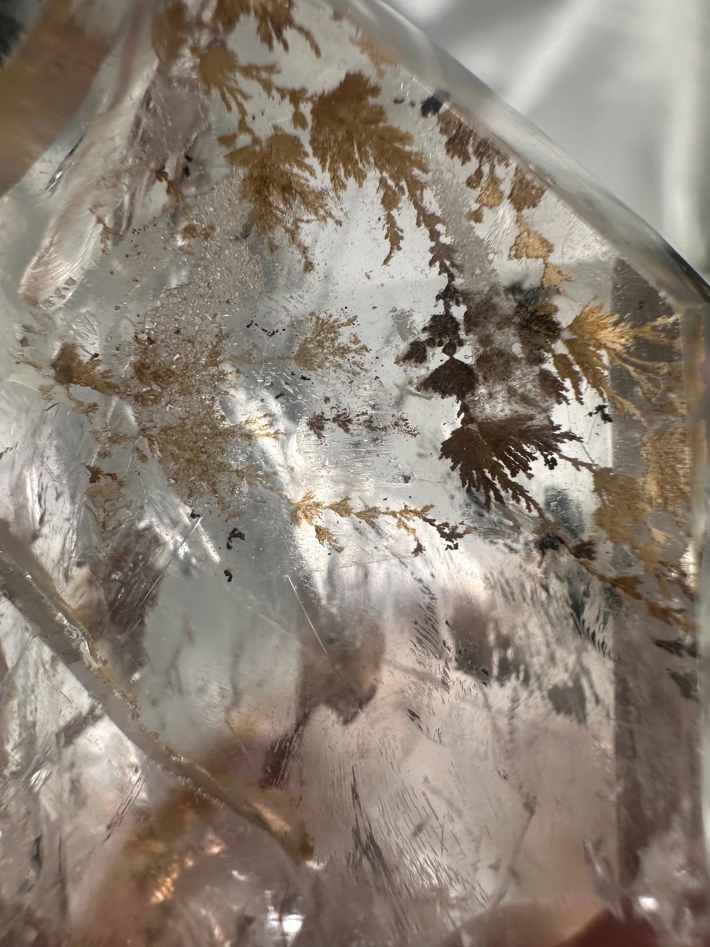 Powellite Tower UV Reactive DENDRITIC | Natural Powellite Crystal Point | Fluorescent Mineral Specimen for Collectors Display Decor Accent