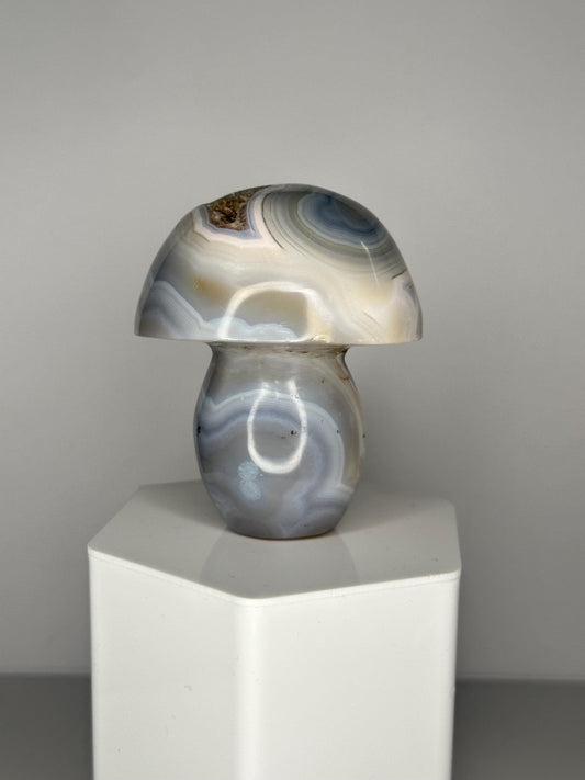 Orca Banded Agate Mushroom | Natural Banded Agate Crystal Carving | Polished Mineral Specimen for Collectors Display Decor Accent