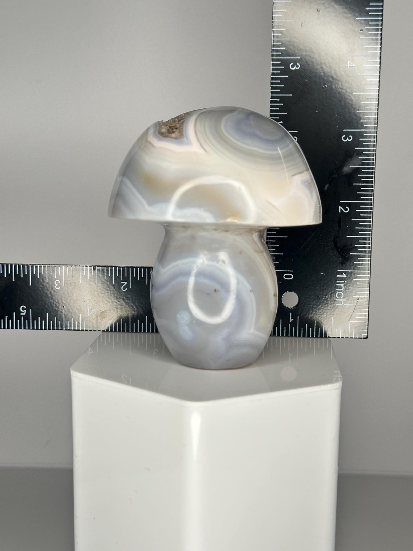 Orca Banded Agate Mushroom | Natural Banded Agate Crystal Carving | Polished Mineral Specimen for Collectors Display Decor Accent