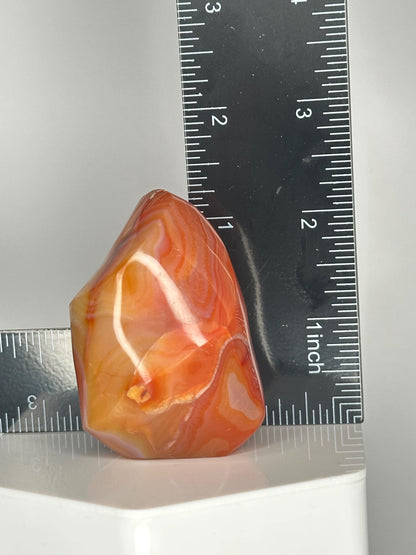 Carnelian Flame | Natural Orange Carnelian Crystal Flame Carving | Polished Mineral Specimen for Collectors Display Decor Accent