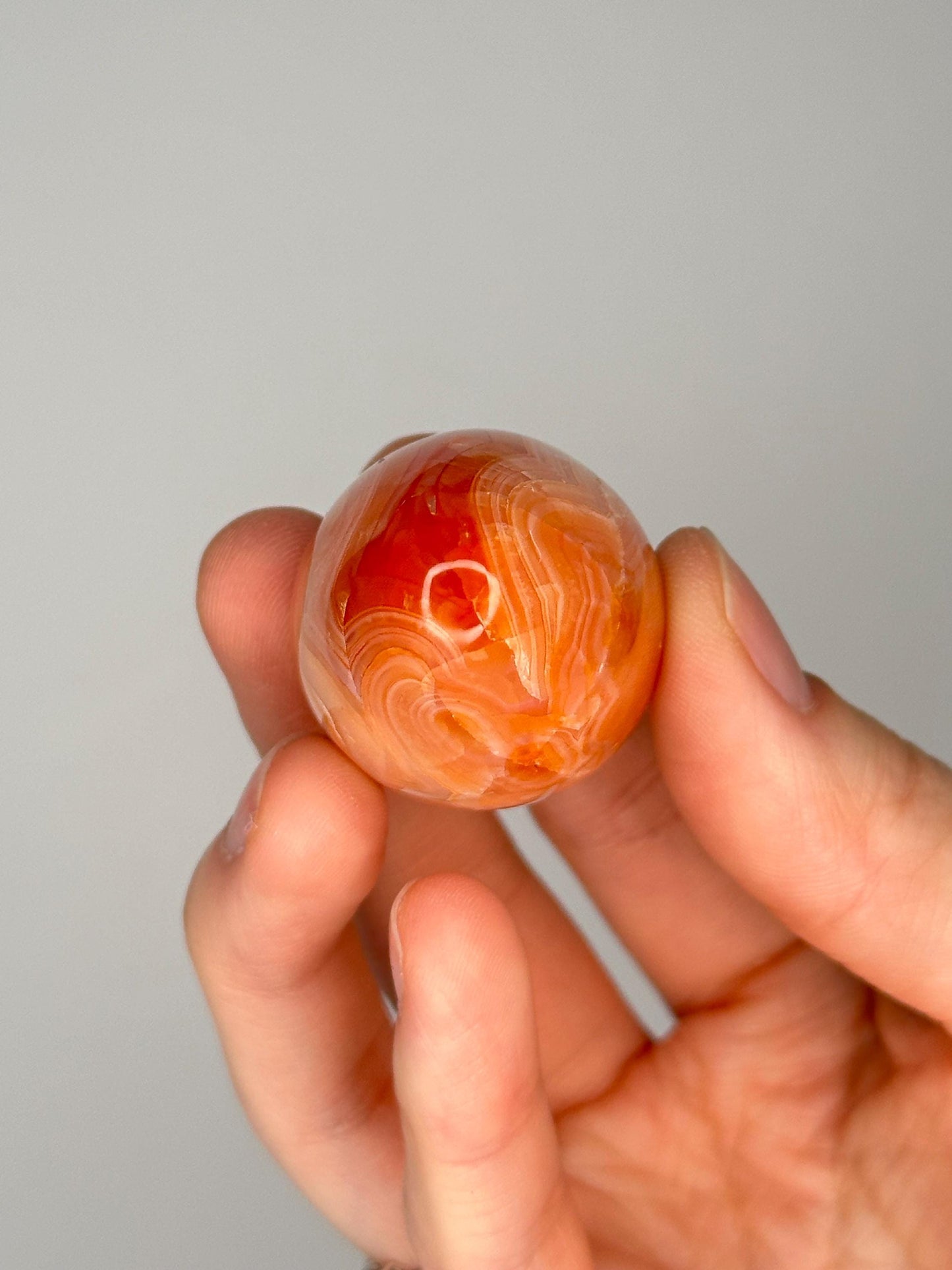 Mini Carnelian Egg | Natural Orange Carnelian Crystal Egg Carving | Polished Mineral Specimen for Collectors Display Decor Accent