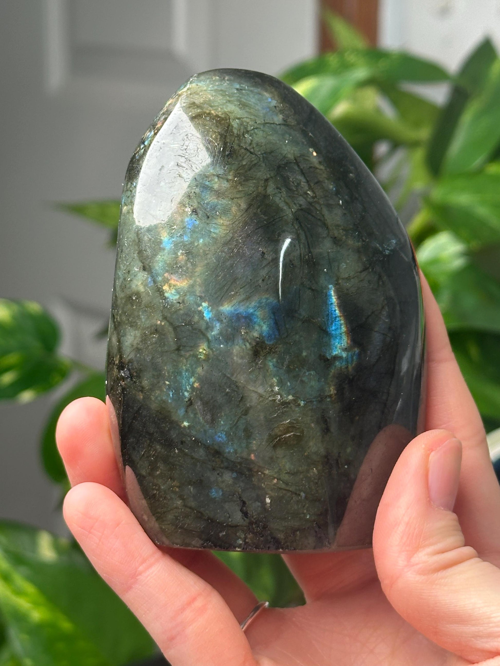 Labradorite Freeform | Natural Flashy Labradorite Carving | Polished Crystal Display Piece for Collectors & Home Decor