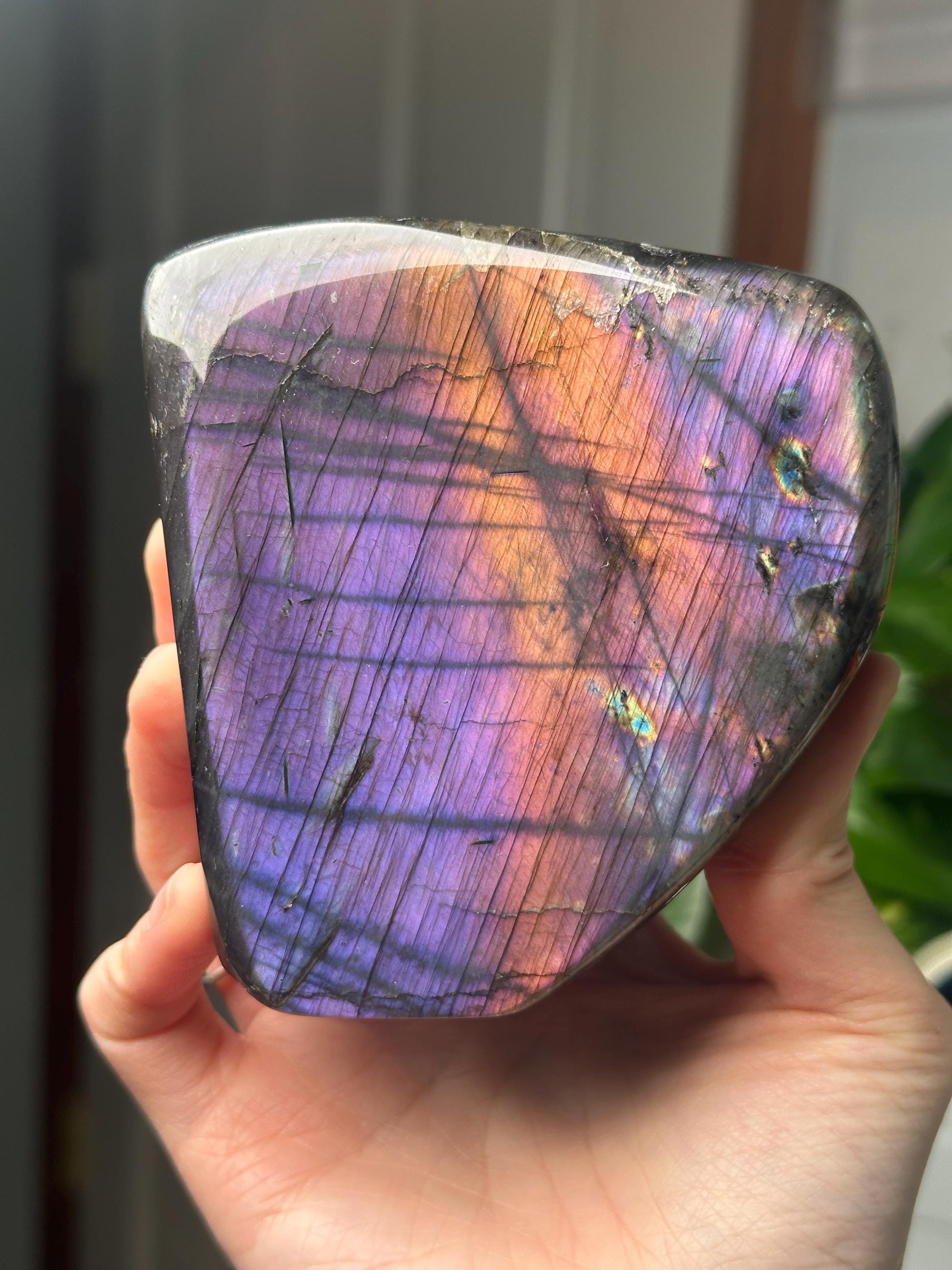 Labradorite Freeform | Natural Flashy Labradorite Carving | Polished Crystal Display Piece for Collectors & Home Decor