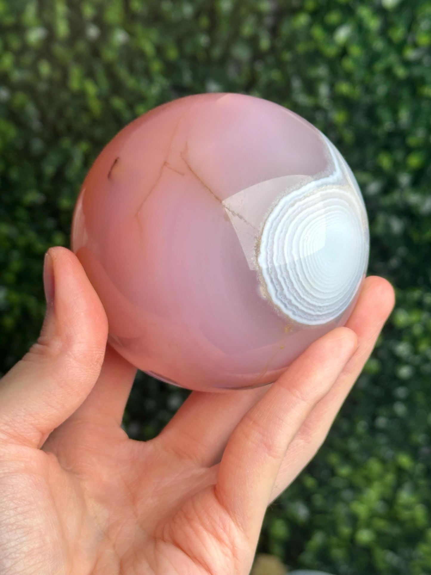 Pink Jelly Agate Sphere | Translucent Crystal Ball | Calming Energy Stone | Decorative Gemstone Orb for Home or Office