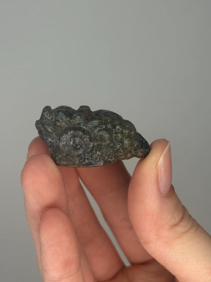 Emerald in Matrix Money Toad Mini Carving | Natural Green Crystal Frog Figurine | Mineral Animal Gift | Feng Shui Prosperity Decor