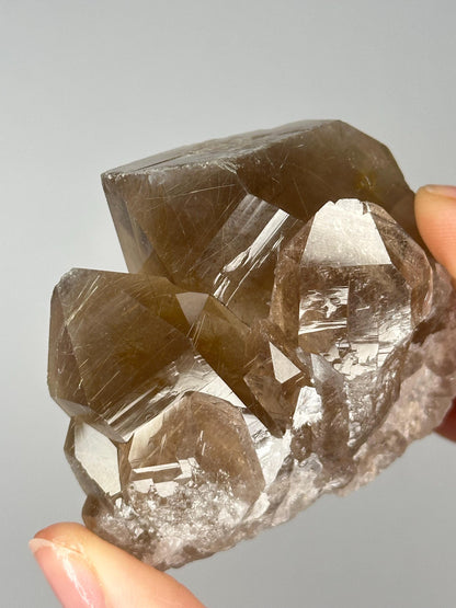 Smoky Quartz Cluster with Golden Rutile Inclusions | Sparkling Crystal for Energy Clearing, Focus, and Elevated Decor