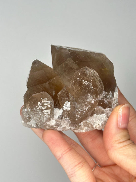 Smoky Quartz Cluster with Golden Rutile Inclusions | Sparkling Crystal for Energy Clearing, Focus, and Elevated Decor